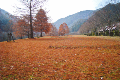 DSC08178w10.gif