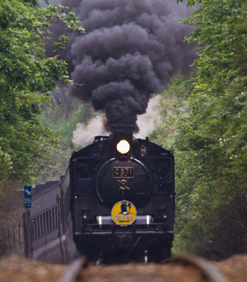IMG_1166w10.jpg