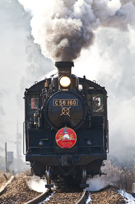 IMG_2039w10.jpg