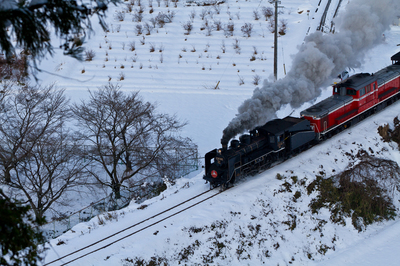 IMG_2296w10.jpg