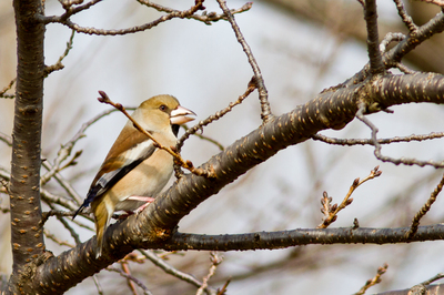 IMG_4133w10.jpg