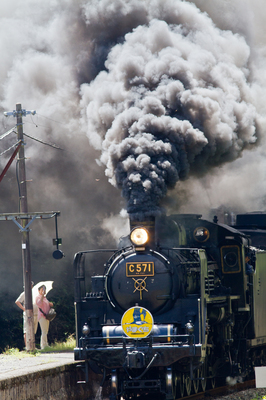 IMG_8529w15.jpg