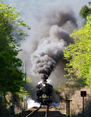 IMG_9887WEB10.jpg