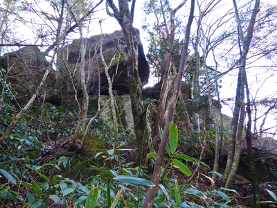 P1020103w10.jpg