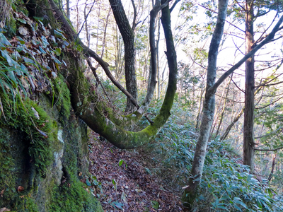 P1020133w10.jpg