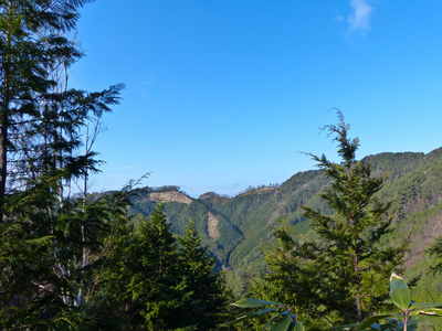 P1020137w10.jpg