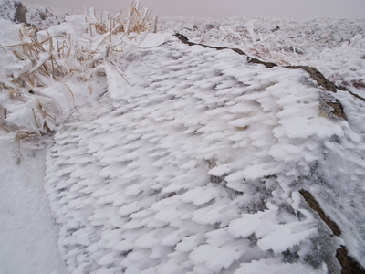 P1194333.jpg