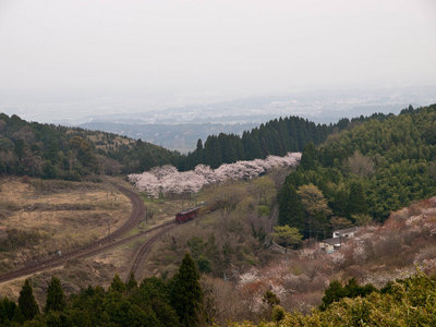 P3245151.jpg
