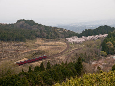 P3245166.jpg