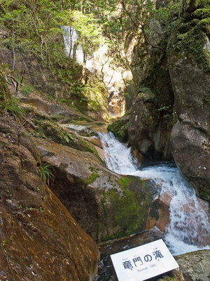 P4266234.jpg