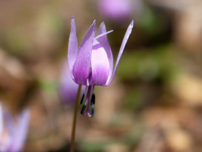P4271627web10.jpg