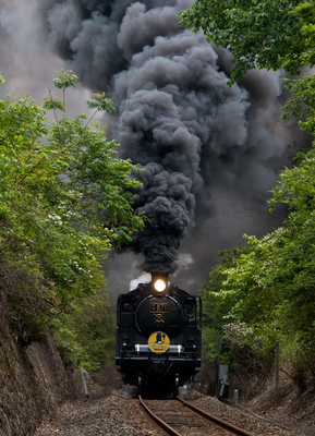 P6023129w10.jpg