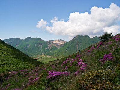 P6046756.jpg