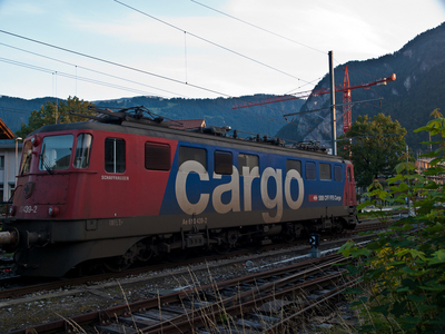 P7040019w10.jpg