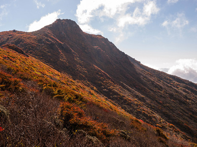 PA217089.jpg