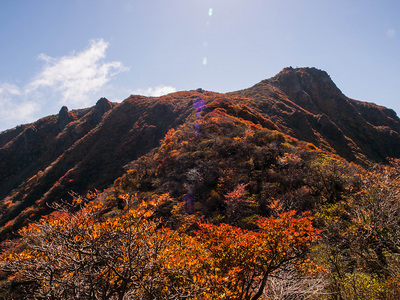 PA217097.jpg