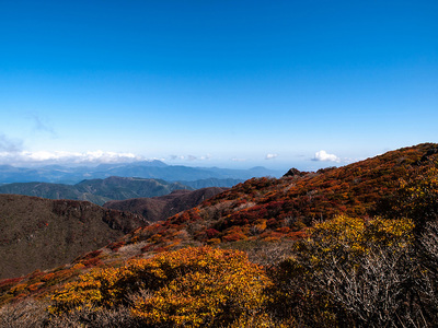 PA217133.jpg