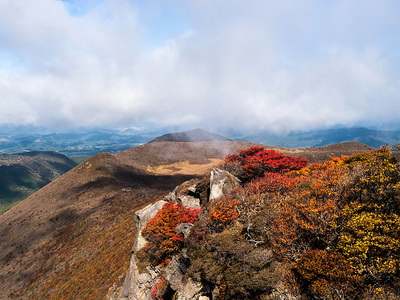 PA217138.jpg