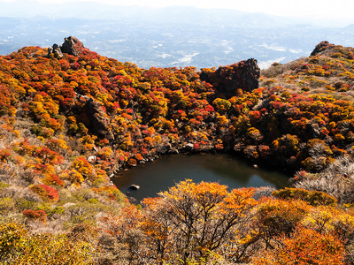 PA217147.jpg