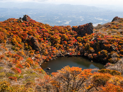 PA217148.jpg