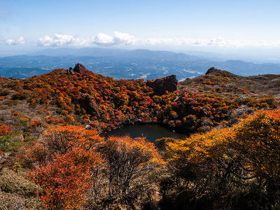 PA217152.jpg