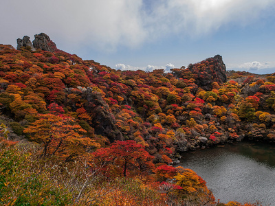 PA217164.jpg