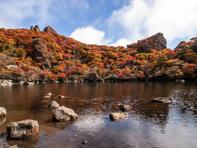 PA217187.jpg
