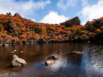 PA217190.jpg