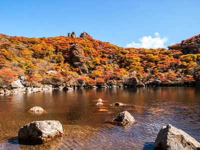 PA217215.jpg