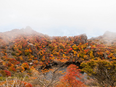 PA217236.jpg