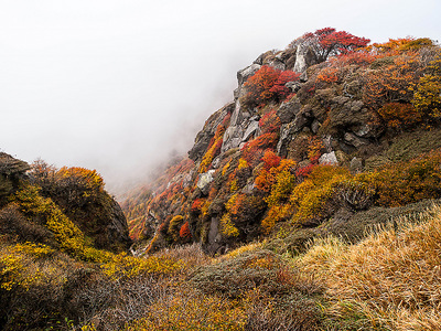 PA217239.jpg