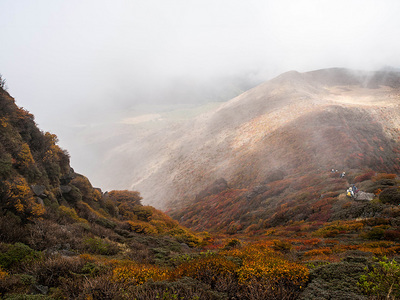 PA217242.jpg