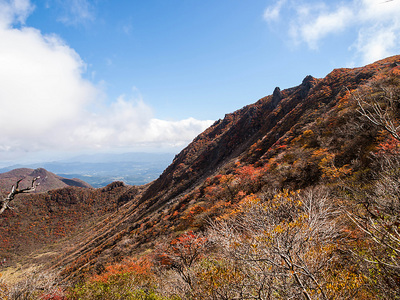 PA217252.jpg