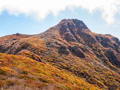 PA217254.jpg