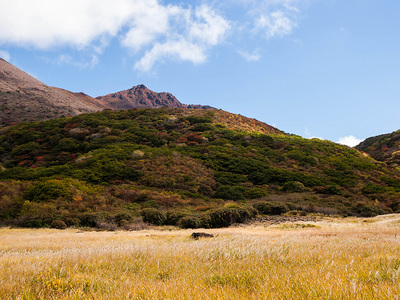 PA217286.jpg