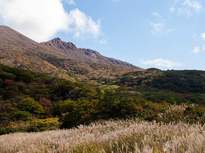 PA217327.jpg