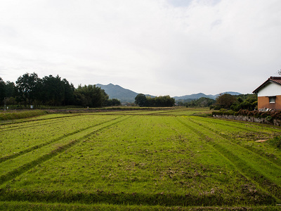 PA317356.jpg