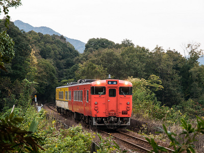 PA317392.jpg