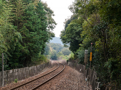 PA317395.jpg