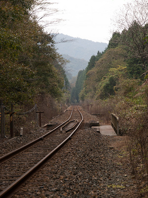PA317410.jpg