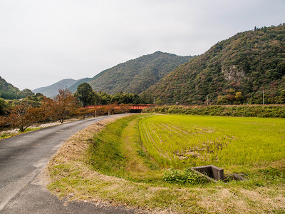PA317441.jpg