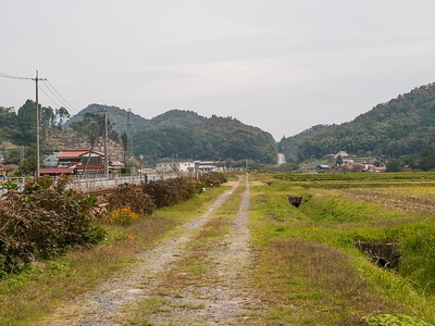 PA317446.jpg